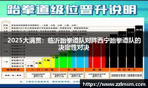 2025大满贯：临沂跆拳道队对阵西宁跆拳道队的决定性对决