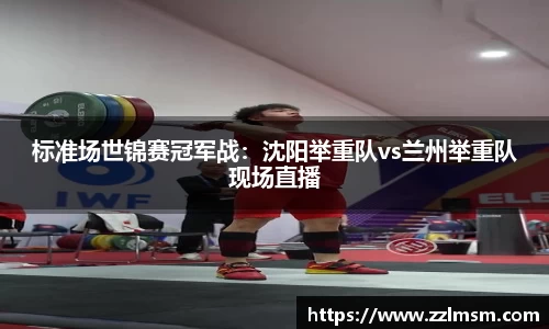 3377官网