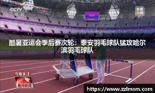 酷暑亚运会季后赛次轮：泰安羽毛球队猛攻哈尔滨羽毛球队